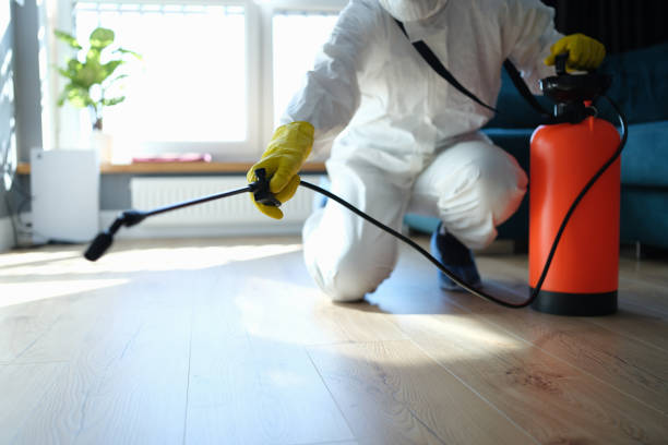 Trusted Odor Removal service in Nashville, GA - Four Month Blood Cleanse